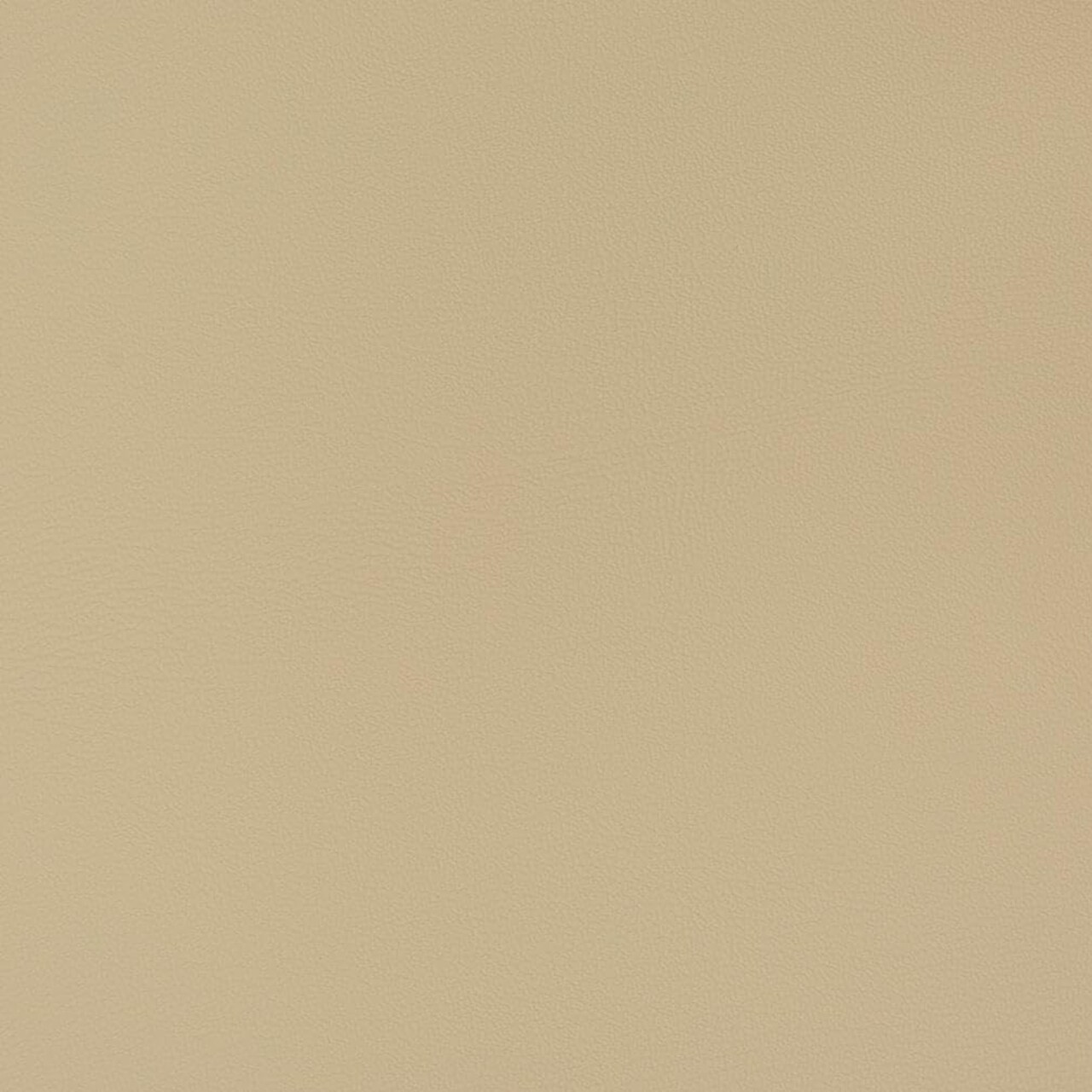 Natural Performance Pet Friendly Vinyl Upholstery Fabric by The Yard - SKU: Caspian Neutral